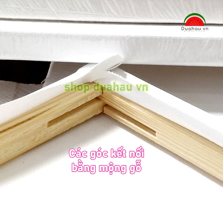 Khung canvas căng sẵn các size