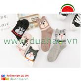 Combo 5 đôi Vớ hình thú cưng xịn