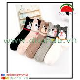 Combo 5 đôi Vớ hình thú cưng xịn
