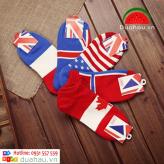 Combo 5 đôi vớ Cờ người lớn