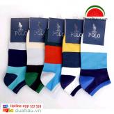 Comnp 5 đôi POLO chất mềm mịn