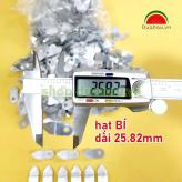 [1 ký] HẠT BÍ SẮT làm khung tranh