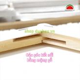Khung canvas căng sẵn các size